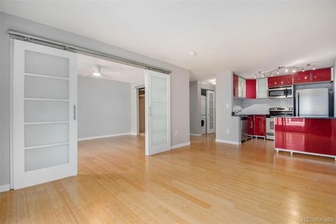 1032 N Clarkson Street 205 Denver CO 80218