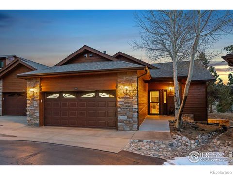 252 Steamer Court Estes Park CO 80517