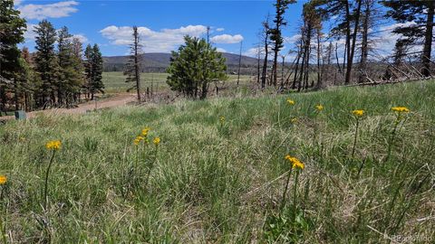 448 Wagon Mesa Loop Fort Garland CO 81133