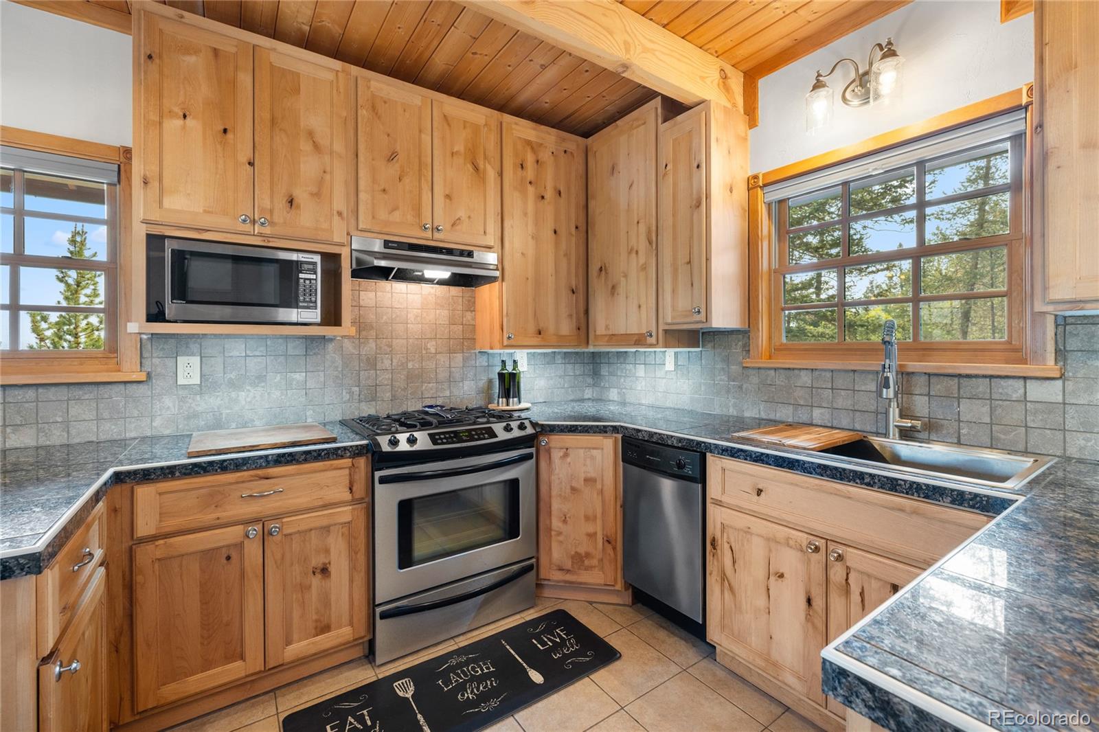 389 Mount Elbert Drive