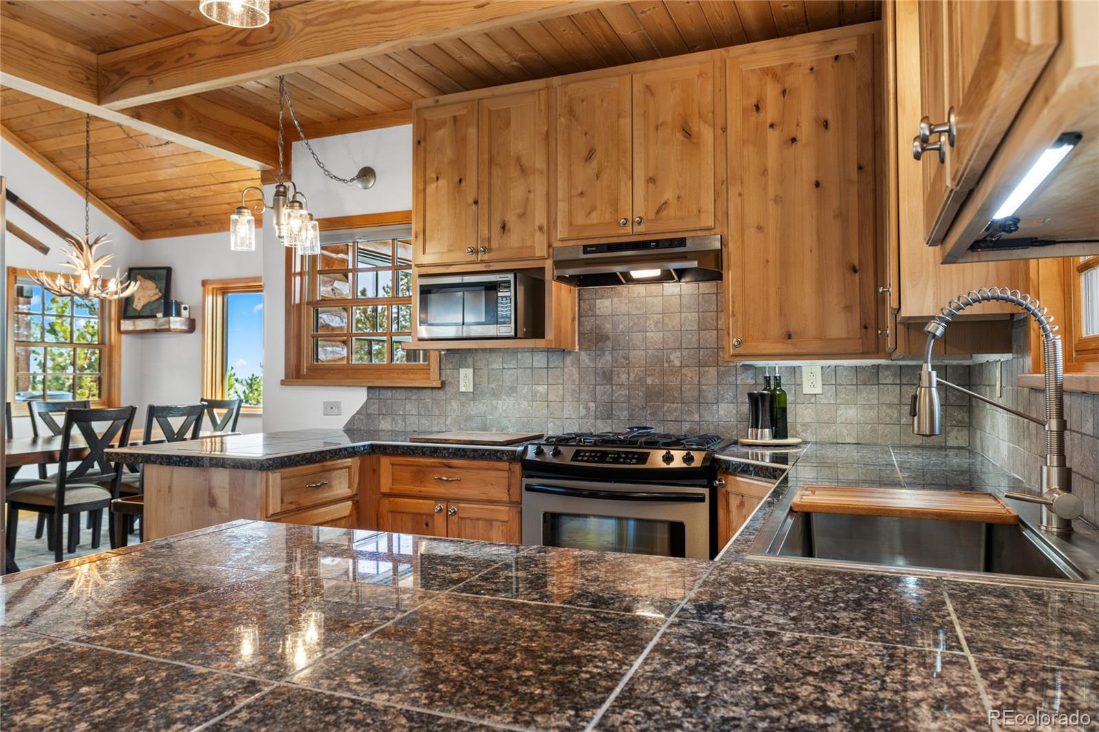 389 Mount Elbert Drive