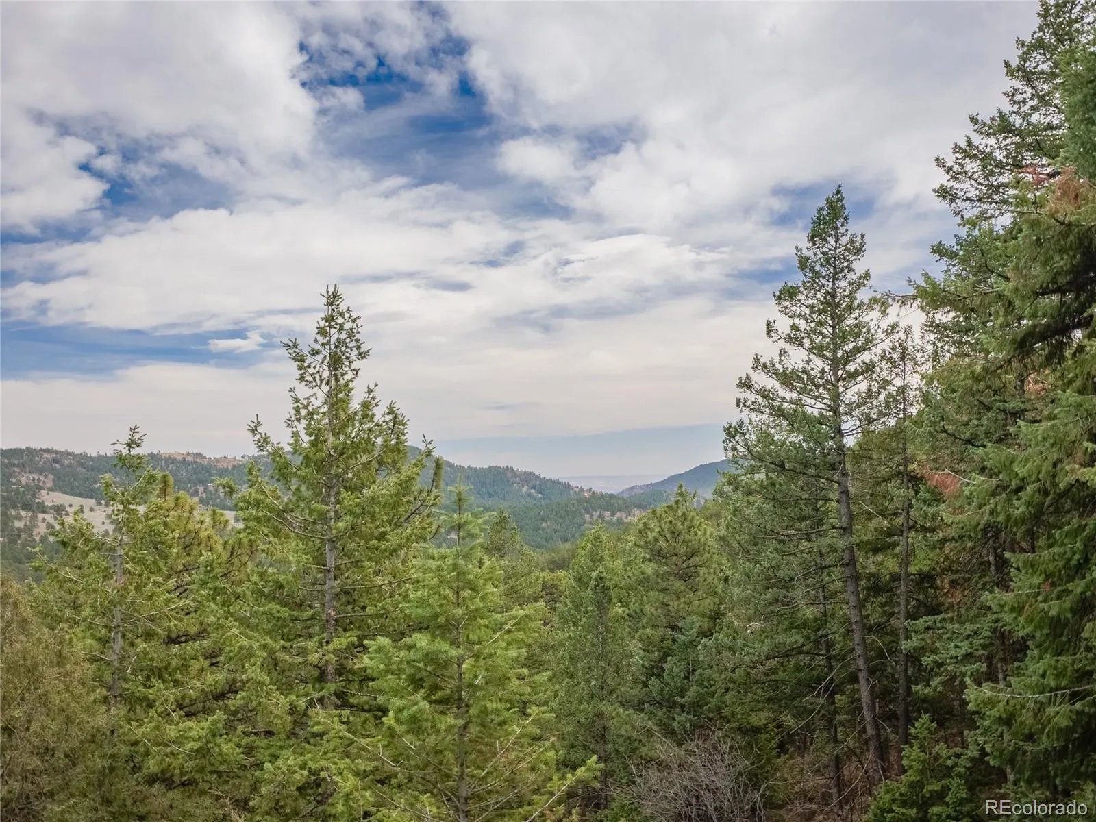 Indian Hills, Colorado 80454, United States, 2 Bedrooms Bedrooms, ,2 BathroomsBathrooms,Residential,Active,110582