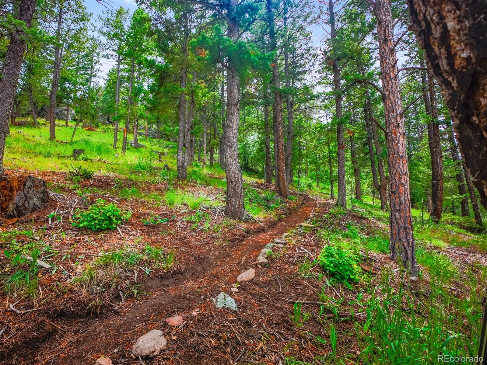 Indian Hills, Colorado 80454, United States, 2 Bedrooms Bedrooms, ,2 BathroomsBathrooms,Residential,Active,110582