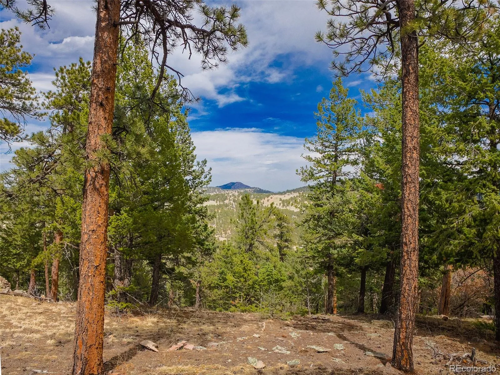 Indian Hills, Colorado 80454, United States, 2 Bedrooms Bedrooms, ,2 BathroomsBathrooms,Residential,Active,110582