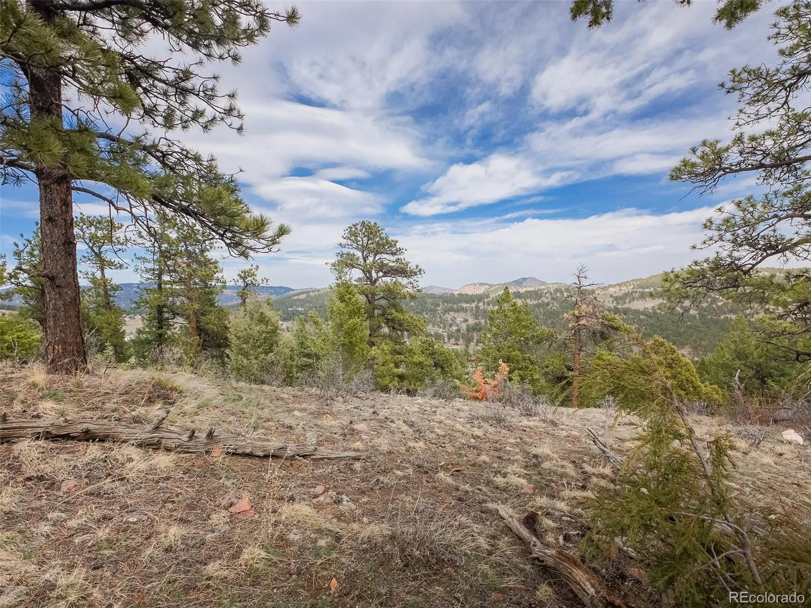 Indian Hills, Colorado 80454, United States, 2 Bedrooms Bedrooms, ,2 BathroomsBathrooms,Residential,Active,110582