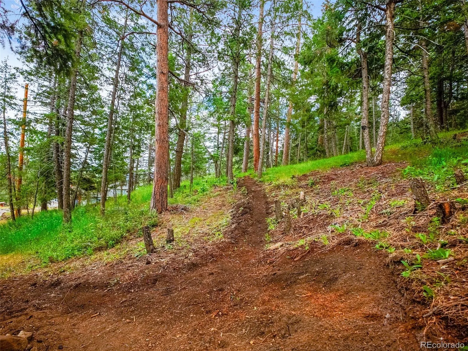 Indian Hills, Colorado 80454, United States, 2 Bedrooms Bedrooms, ,2 BathroomsBathrooms,Residential,Active,110582