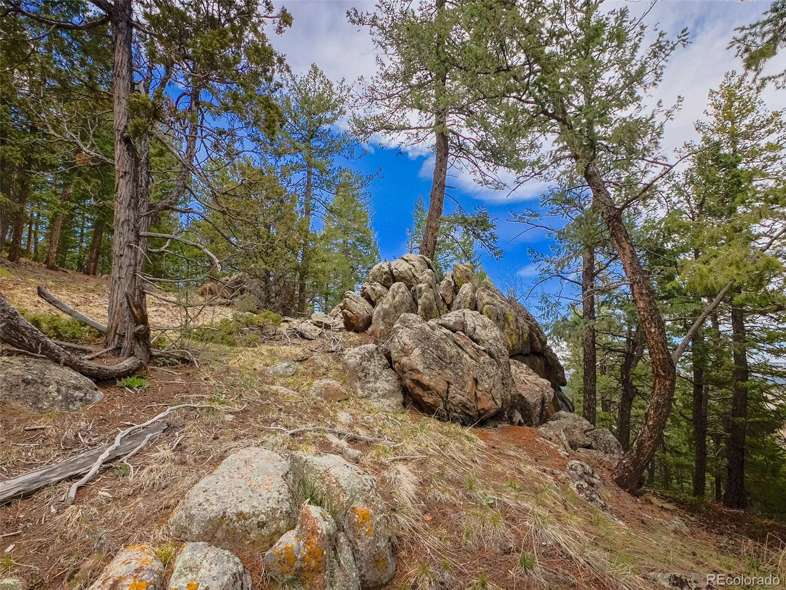 Indian Hills, Colorado 80454, United States, 2 Bedrooms Bedrooms, ,2 BathroomsBathrooms,Residential,Active,110582