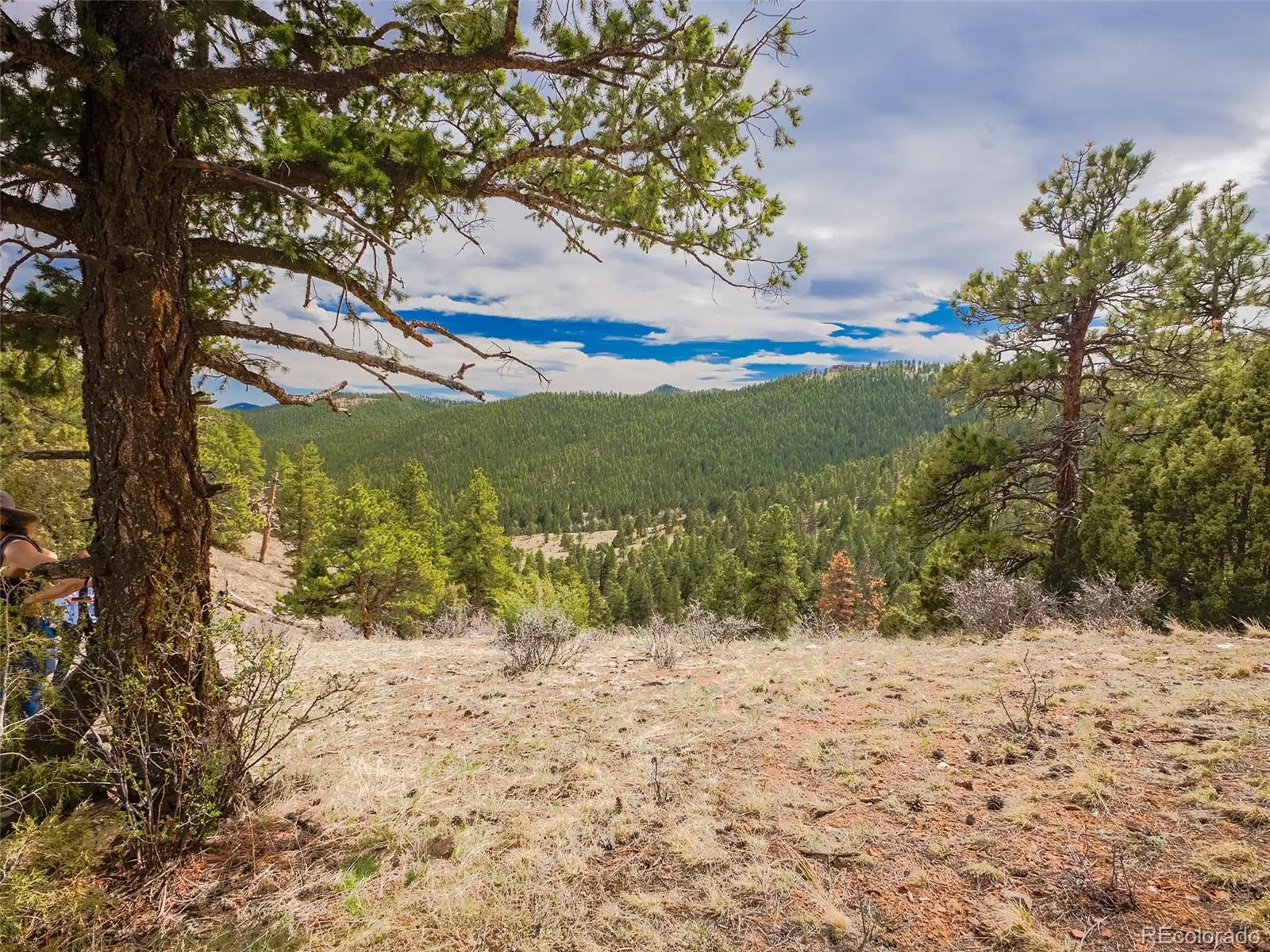 Indian Hills, Colorado 80454, United States, 2 Bedrooms Bedrooms, ,2 BathroomsBathrooms,Residential,Active,110582