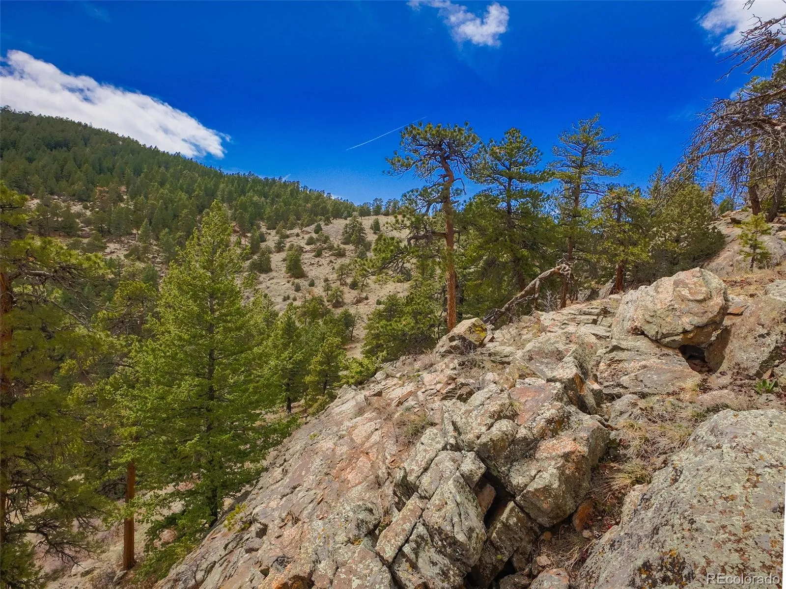 Indian Hills, Colorado 80454, United States, 2 Bedrooms Bedrooms, ,2 BathroomsBathrooms,Residential,Active,110582