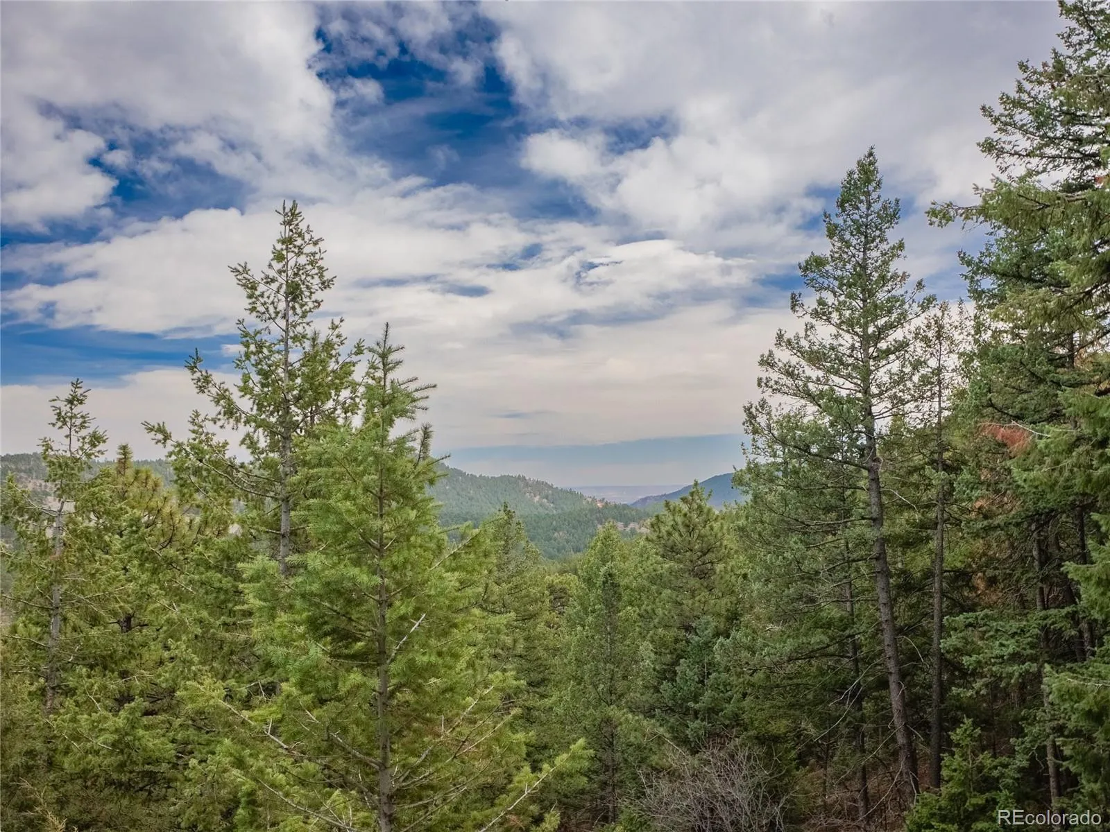 Indian Hills, Colorado 80454, United States, 2 Bedrooms Bedrooms, ,2 BathroomsBathrooms,Residential,Active,110582