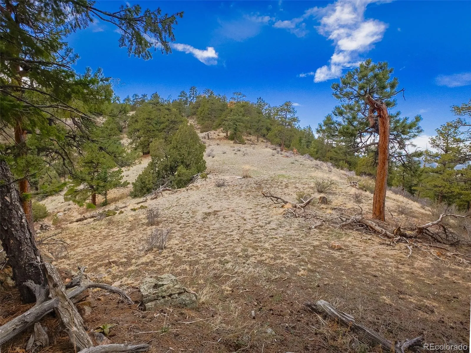 Indian Hills, Colorado 80454, United States, 2 Bedrooms Bedrooms, ,2 BathroomsBathrooms,Residential,Active,110582