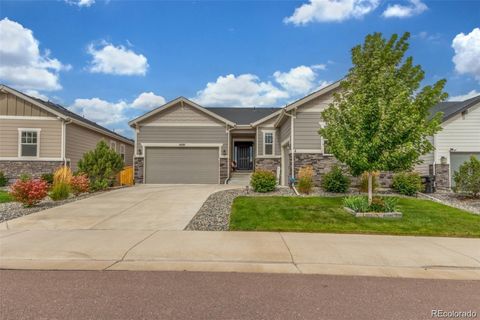 6695 Petunia Place Castle Rock CO 80108