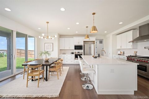 14391 Shasta Daisy Point Parker CO 80134