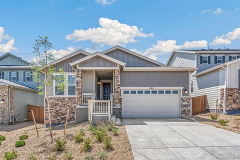 1905 WaterBirch Way Castle Rock CO 80108