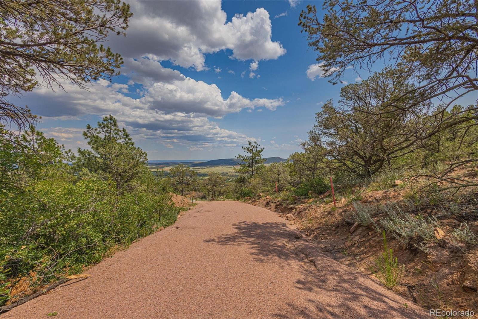 15505 S Cuerno Verde View