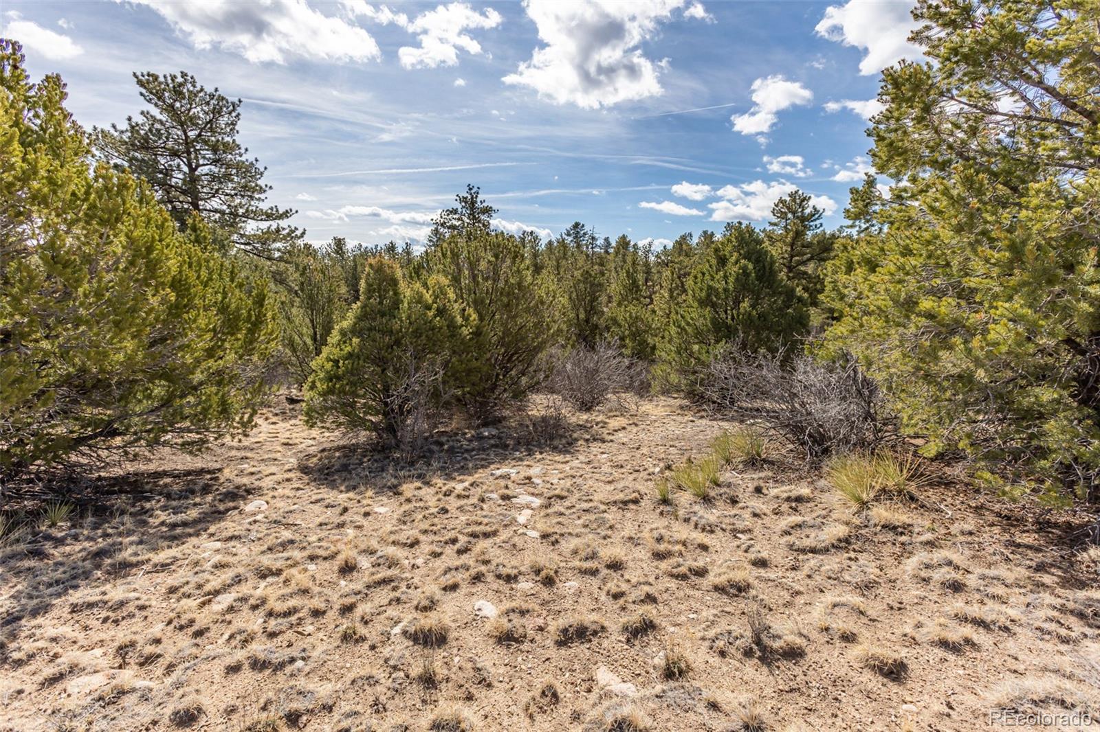 13584 County Road 261b