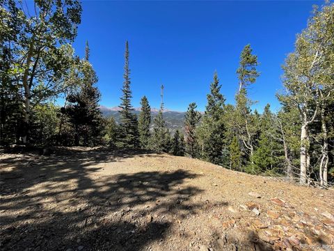 Unimproved Land in Idaho Springs CO Silver Star Philidelphia 3.jpg