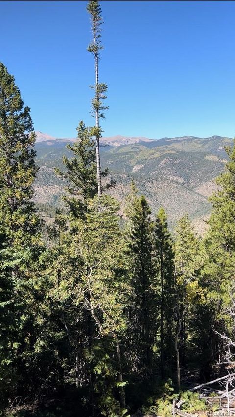 Unimproved Land in Idaho Springs CO Silver Star Philidelphia 9.jpg