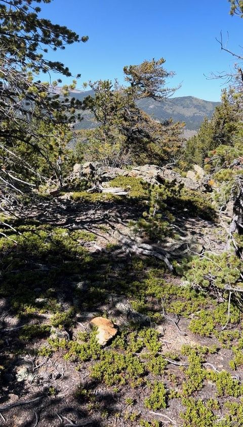 Unimproved Land in Idaho Springs CO Silver Star Philidelphia 7.jpg