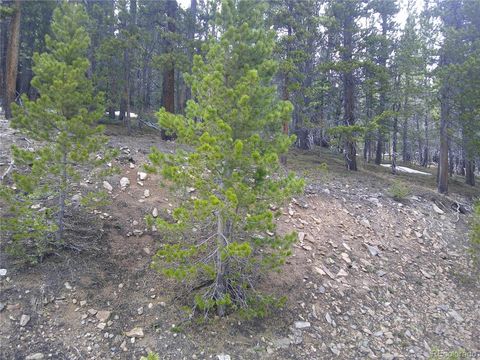 Lot 417 Glory Hole Road Idaho Springs CO 80452
