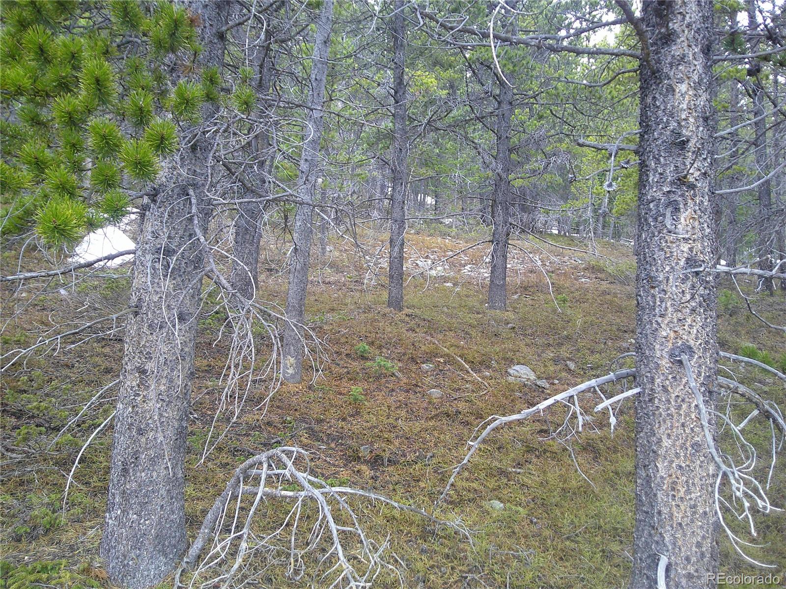 Lot 417 Glory Hole Road