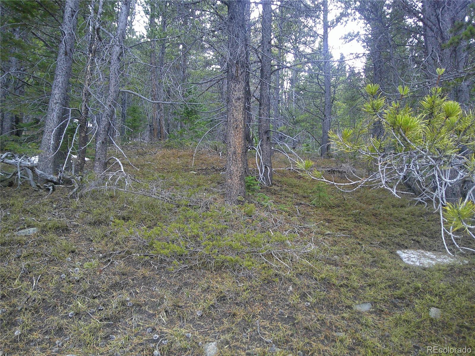 Lot 417 Glory Hole Road