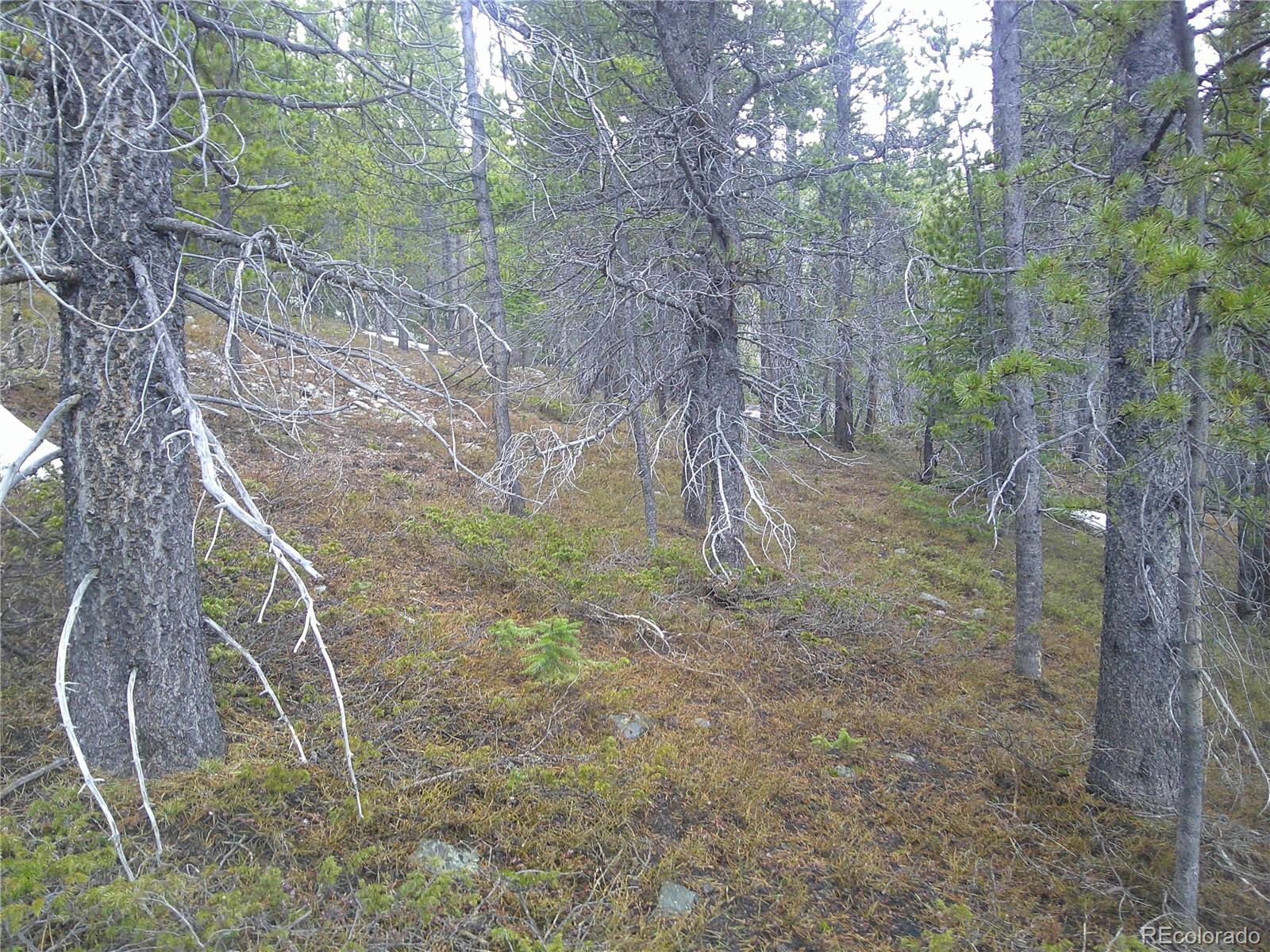 Lot 417 Glory Hole Road
