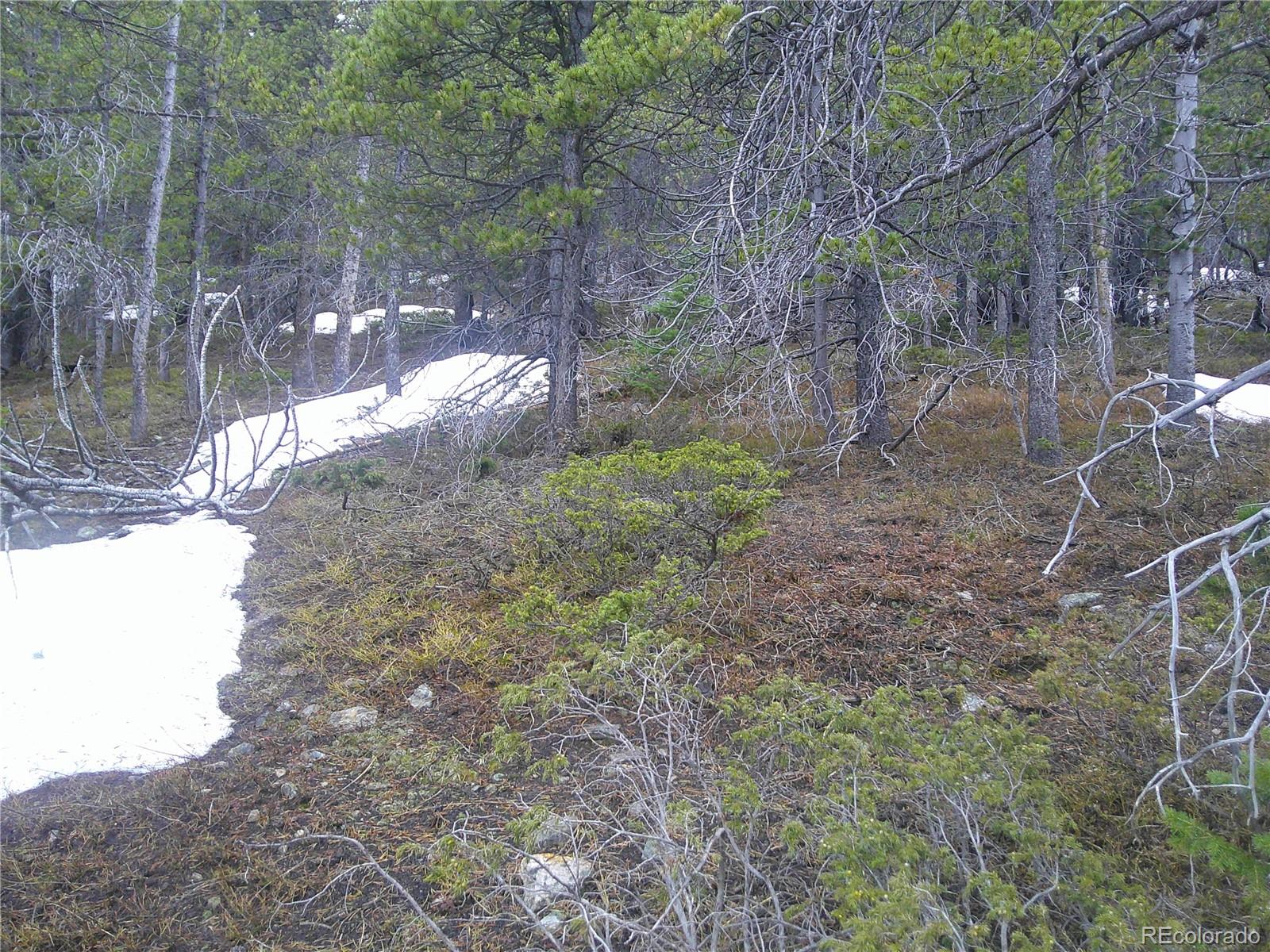 Lot 417 Glory Hole Road