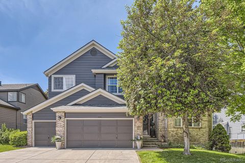 10330 Lions Path Lone Tree CO 80124