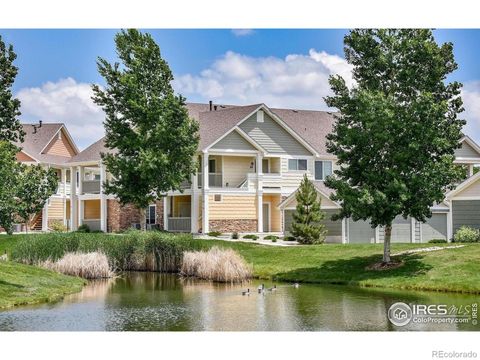 4865 Hahns Peak Drive 203 Loveland CO 80538