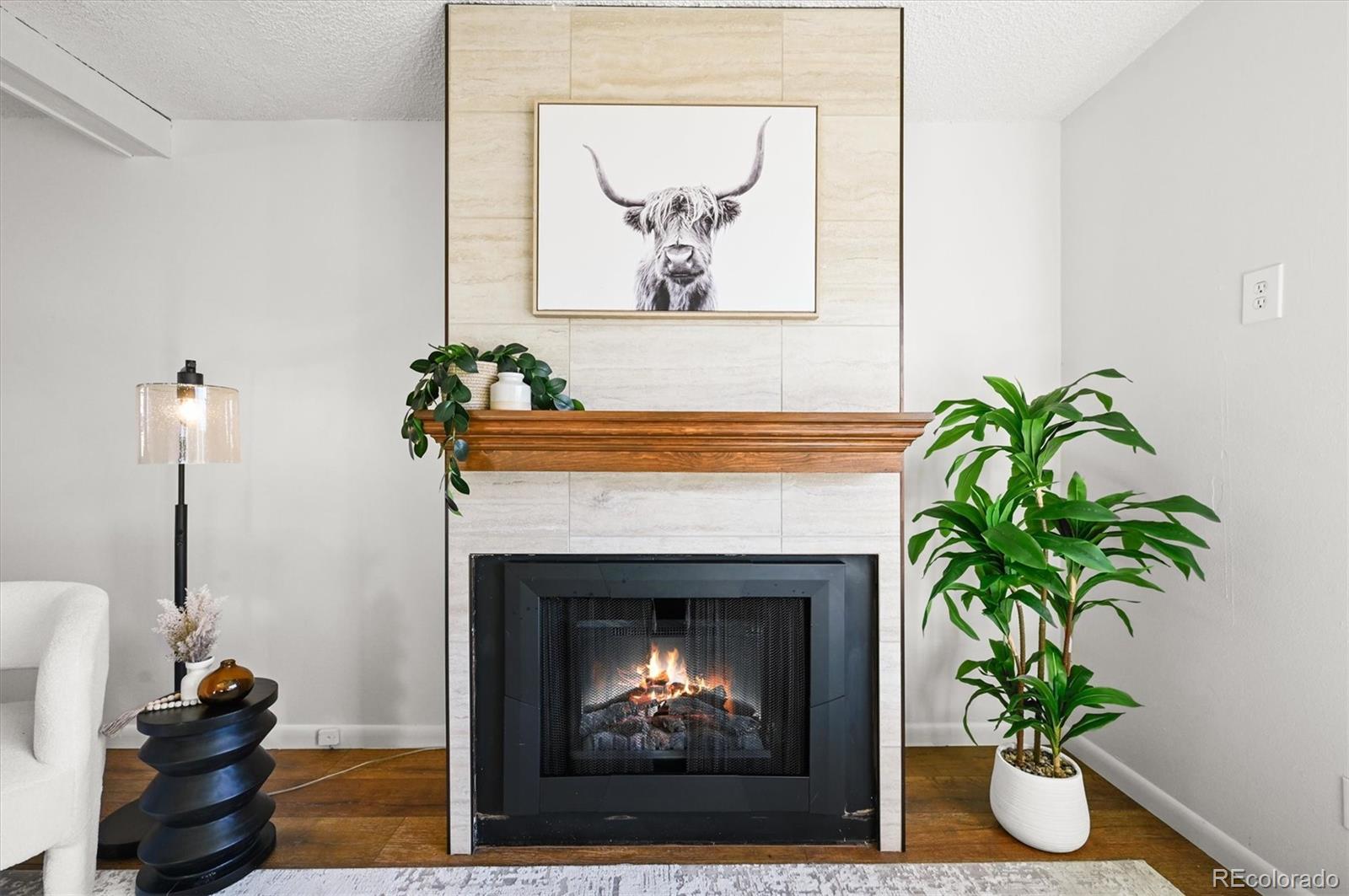 7137 S Webster Street