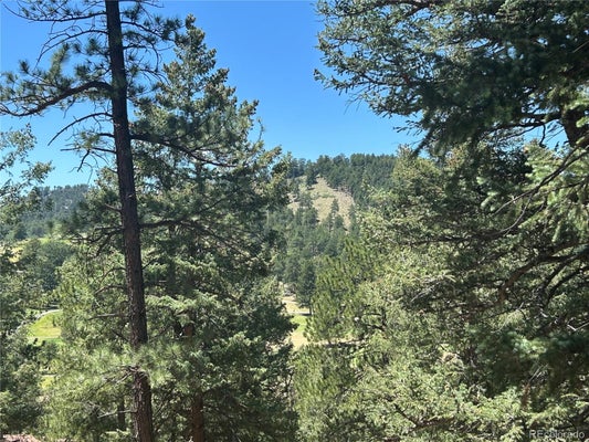 61 PINE RIDGE RD, EVERGREEN, CO 80439 - Image c253dbf85f8feb6e1a4d35f8cb53ba8b/410466729