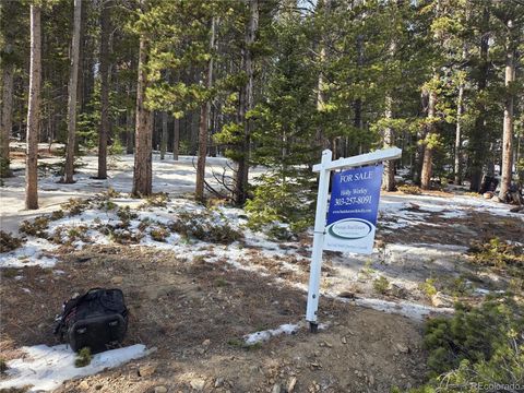 293 Beaver Road Idaho Springs CO 80452