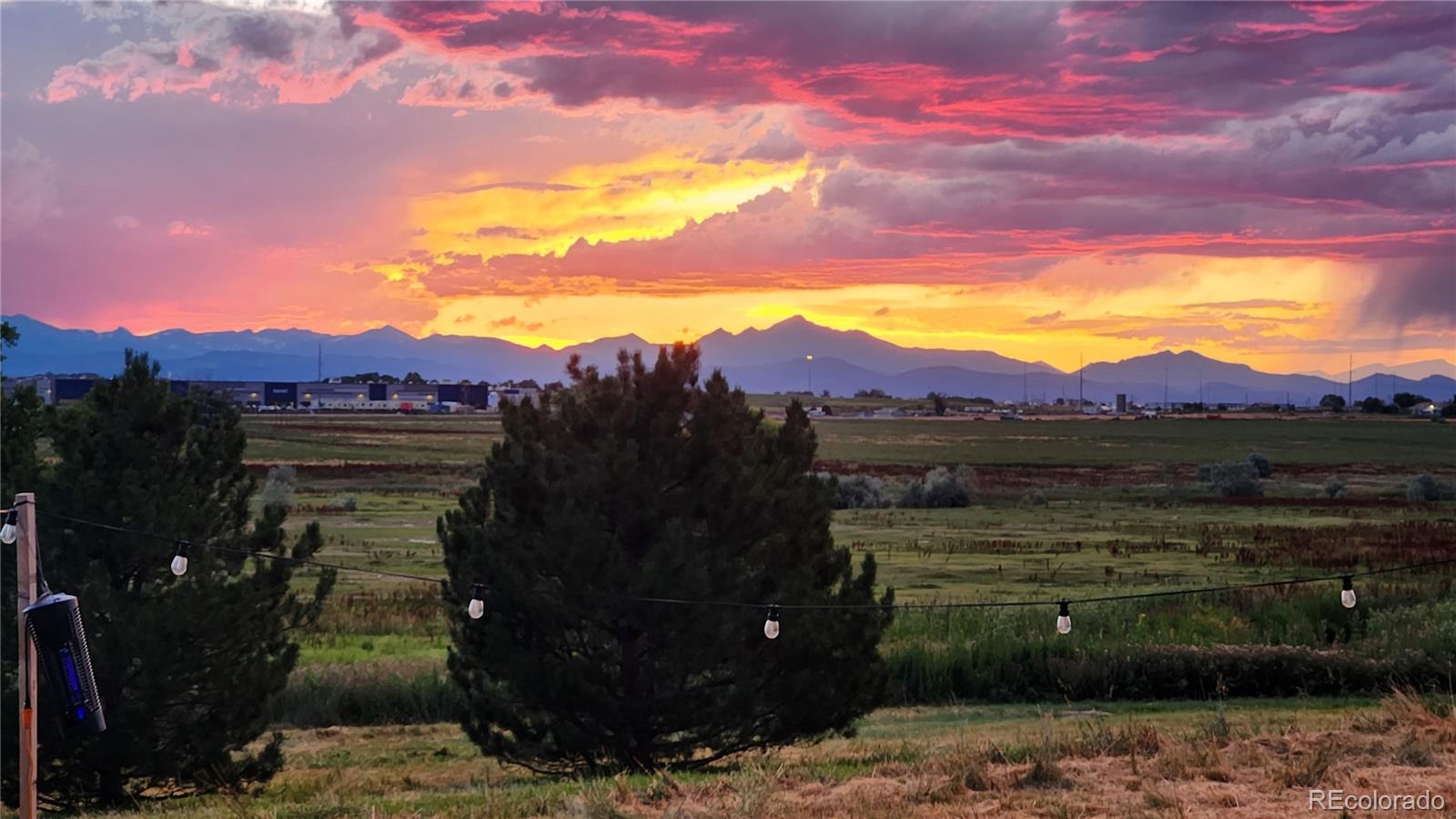 14685 Williams Street