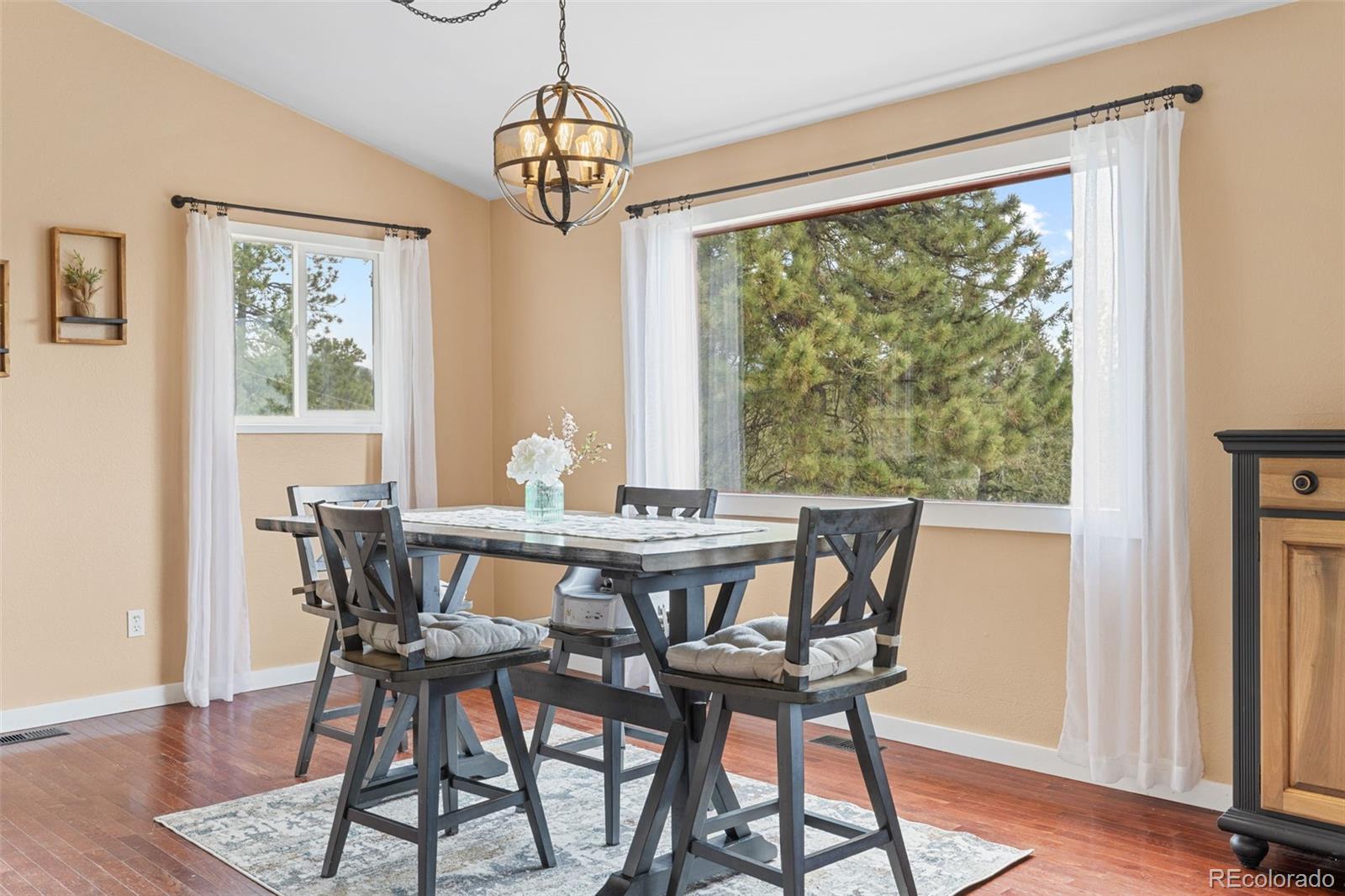518 Pine Drive, Bailey, CO, 80421 4 518 Pine Drive