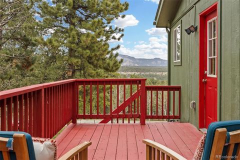518 Pine Drive Bailey CO 80421