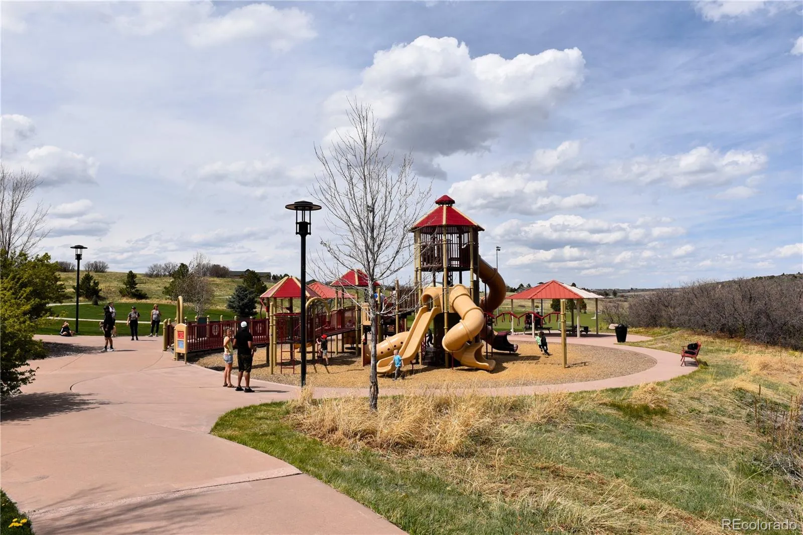 Castle Rock, Colorado 80104, United States, 4 Bedrooms Bedrooms, ,3 BathroomsBathrooms,Residential,Active,115488