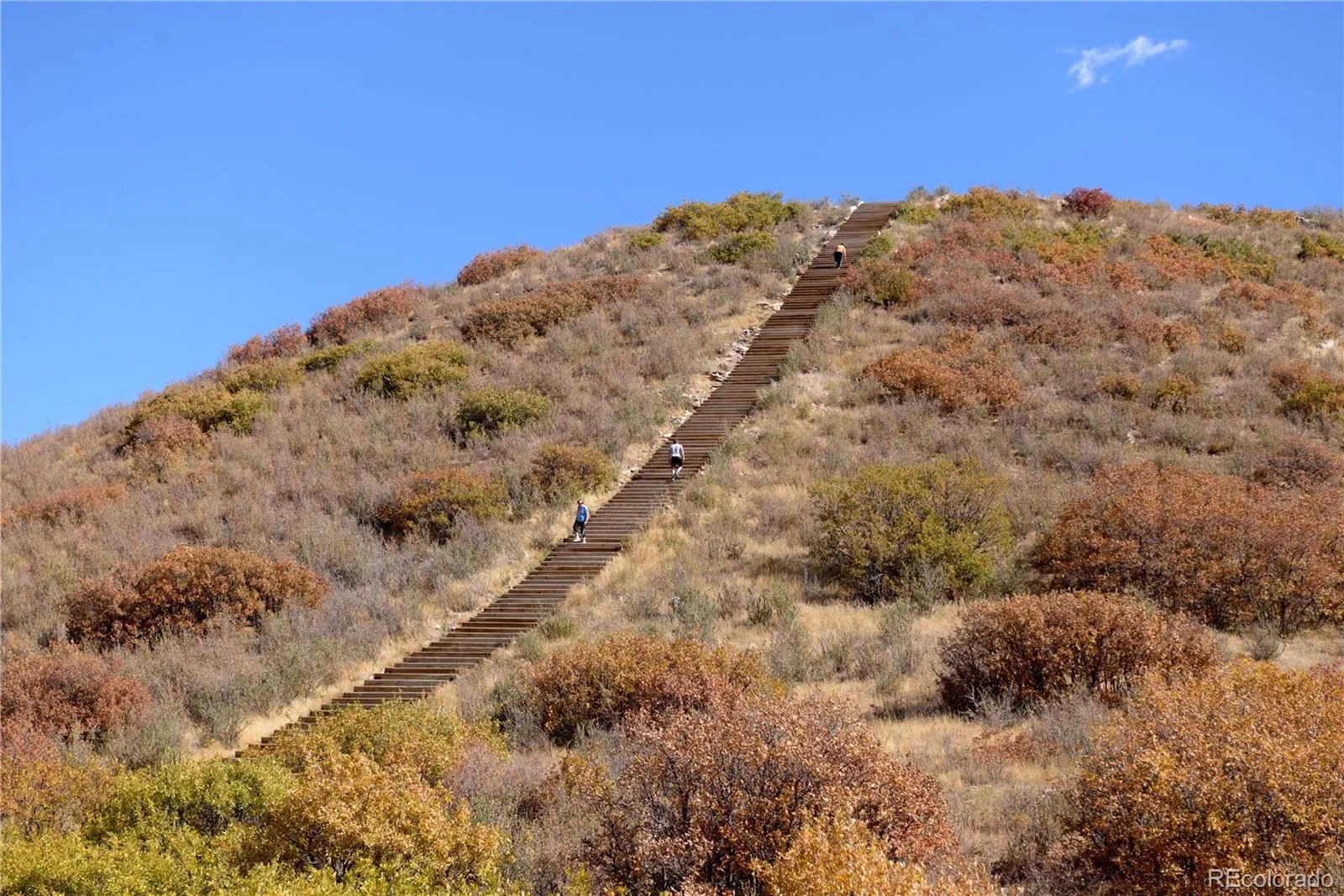 Castle Rock, Colorado 80104, United States, 4 Bedrooms Bedrooms, ,3 BathroomsBathrooms,Residential,Active,115488