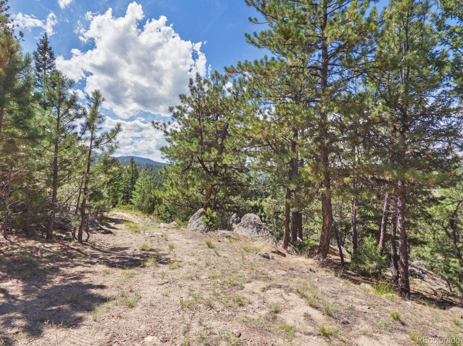 N Turkey Creek Road