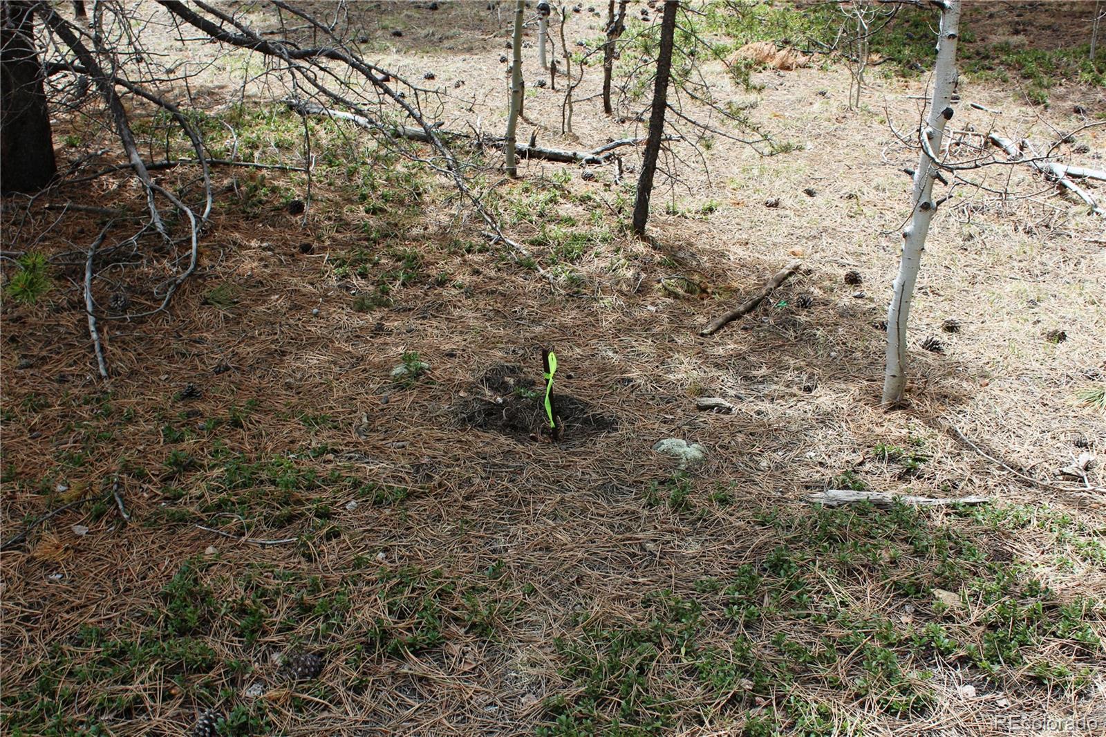Lot 10 Pinon Circle