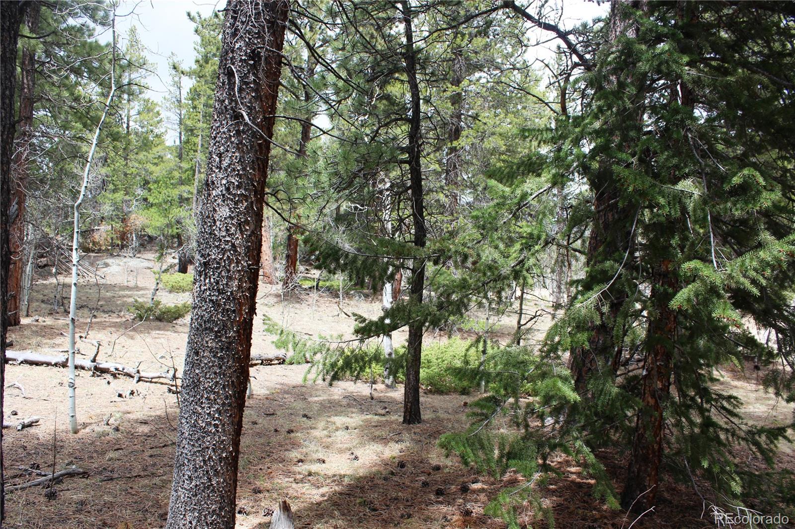 Lot 10 Pinon Circle
