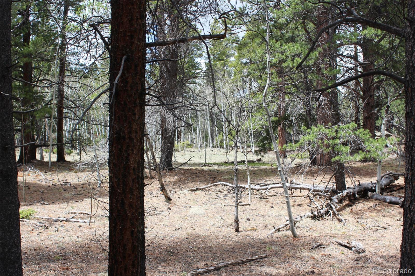 Lot 10 Pinon Circle