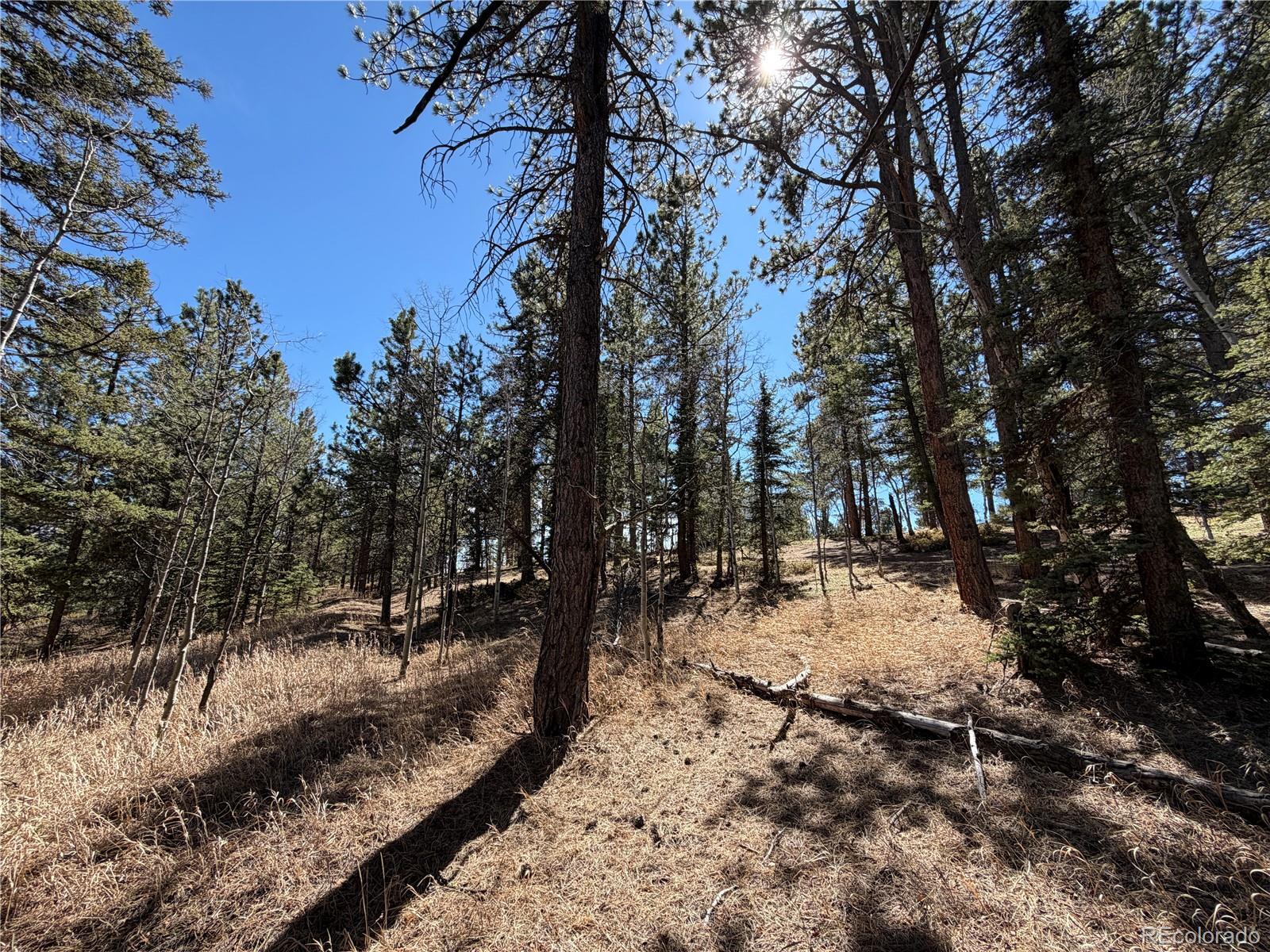 249 Gold Dust Creek Road