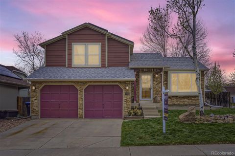 6532 Cole Court, Arvada, CO 80004 - MLS#: 4341954