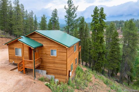 Photo of 1555 Shelton Drive, Bailey, CO 80421 (MLS # 4233551)