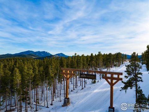 17 Juneau Circle Nederland CO 80466