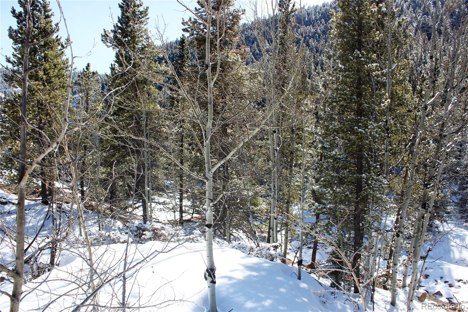 000 Nevadaville Road