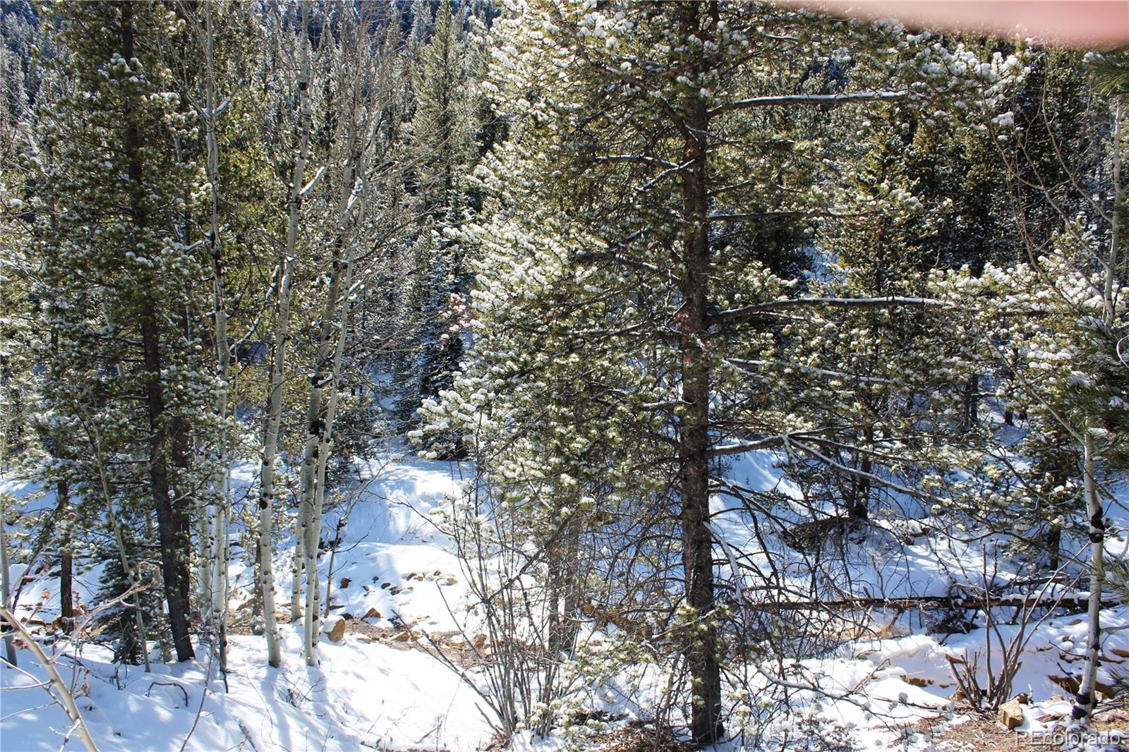 000 Nevadaville Road