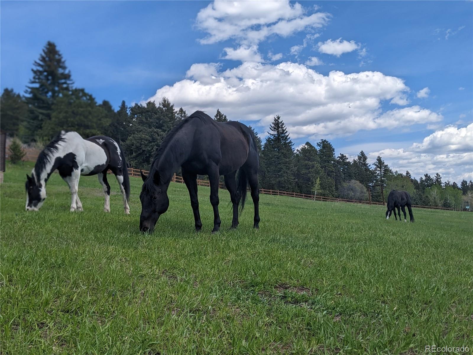 8537 S Doubleheader Ranch Road
