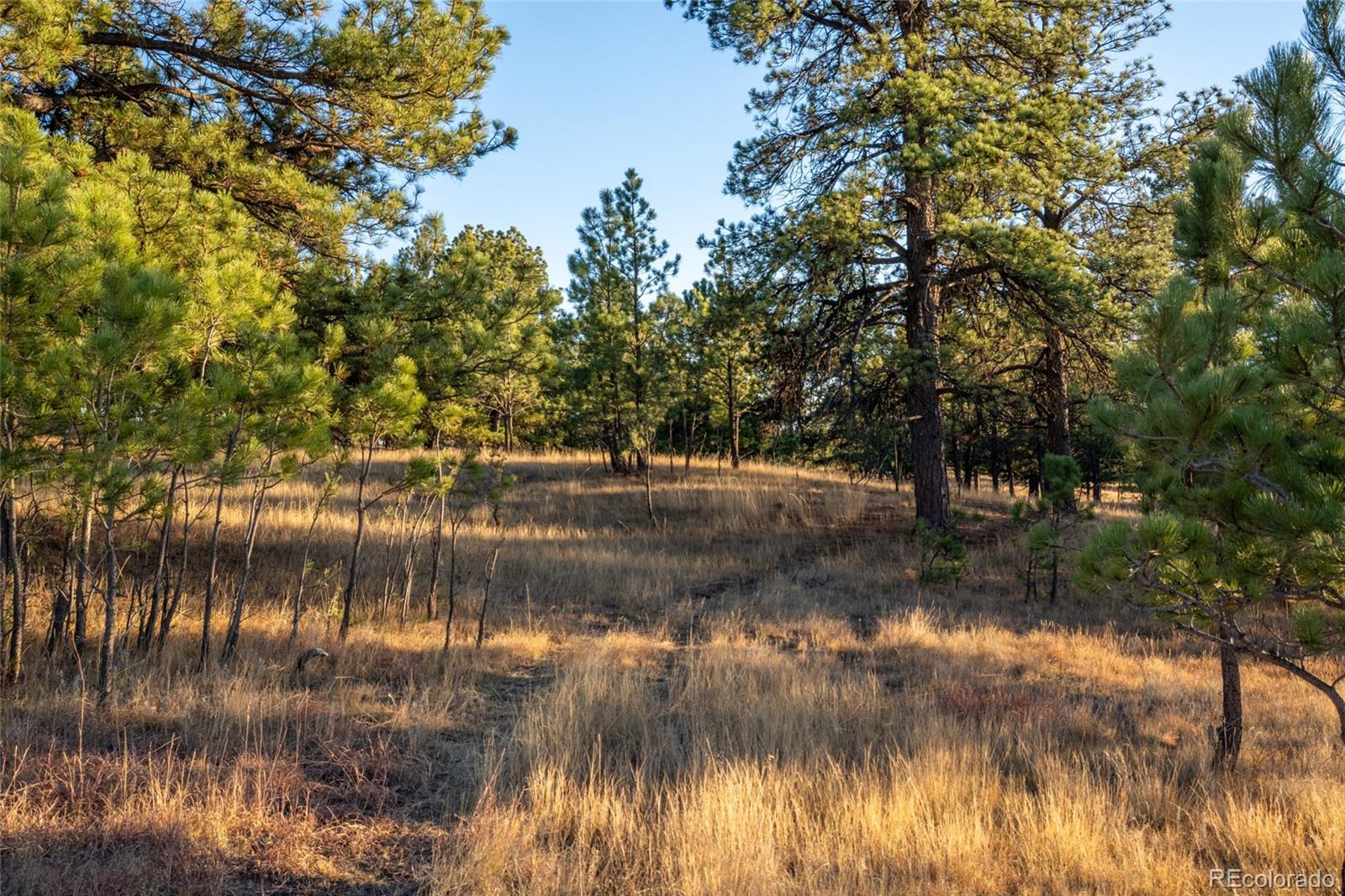 N/A Woodhaven Ridge Road